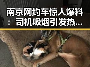 南京网约车惊人爆料：司机吸烟引发热议！