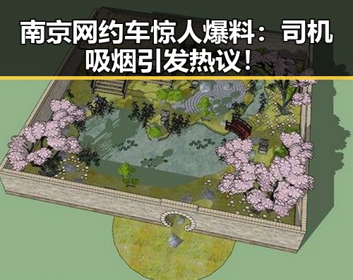 南京网约车惊人爆料：司机吸烟引发热议！