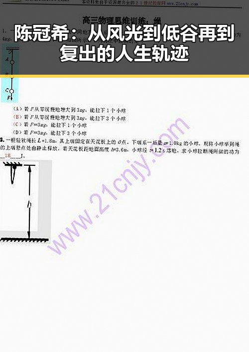 陈冠希：从风光到低谷再到复出的人生轨迹