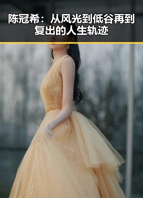 陈冠希：从风光到低谷再到复出的人生轨迹